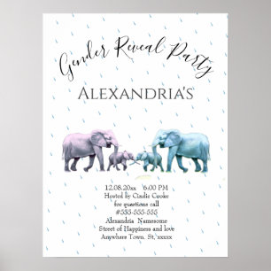 Neues Baby-Geschlecht zeigt Niedliche rosa und bla Poster