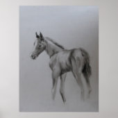 Neues Baby Poster (Vorne)