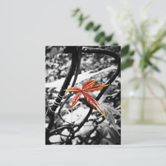 Neues Blatt Postkarte (Stehend Vorderseite)