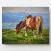 Neues Blut in Dartmoor Fotoplatte (Vorderseite)