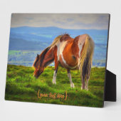 Neues Blut in Dartmoor Fotoplatte (Seite)