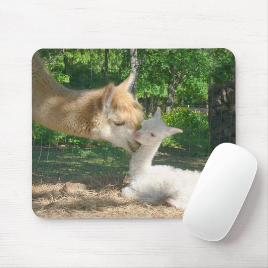 Neues Cria Mousepad (Mit Mouse)