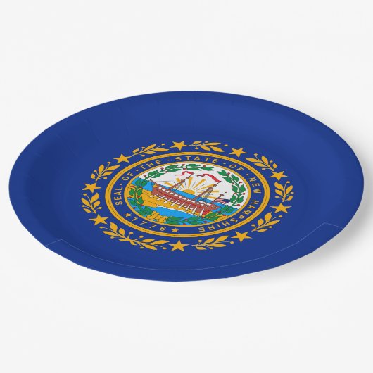 Neues Design der Hampshire State Flag Pappteller (Schrägansicht)