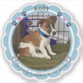 Neues Foto für Heimtiere, für Welpen Aufkleber (Vorderseite)