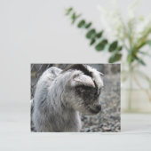 Neues Geboren Postkarte (Stehend Vorderseite)