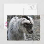 Neues Geboren Postkarte (Vorne/Hinten)