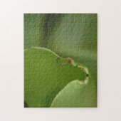 Neues grünes Bananenbeißer-Foto Puzzle (Vertikal)