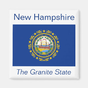 Neues Hampshire Flag Magnet