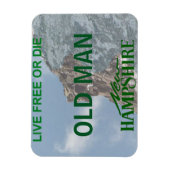 Neues Hampshire-Lizenzschild flexibel Magnet (Vertikal)