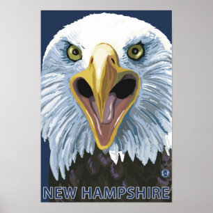 Neues HampshireEagle herauf nahes Poster