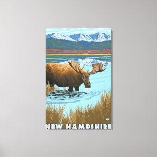 Neues HampshireMoose, das im See trinkt Leinwanddruck