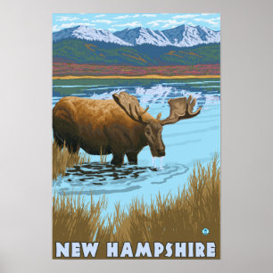 Neues HampshireMoose, das im See trinkt Poster