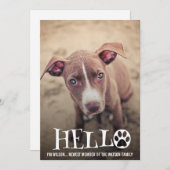 NEUES HAUSTIER-ADOPTIONS-MITTEILUNGS-FOTO LADEN EINLADUNG (Vorne/Hinten)