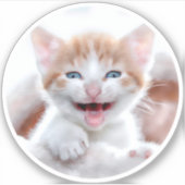 Neues Kitten Circle Shape-Foto Aufkleber (Vorderseite)