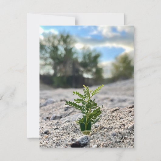 Neues Leben Dankeskarte (Vorderseite)