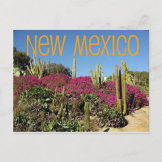 Neues Mexiko Postkarte