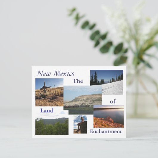 Neues Mexiko Postkarte (Stehend Vorderseite)