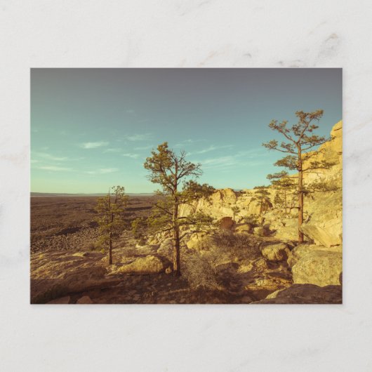 Neues Mexiko Postkarte (Vorderseite)