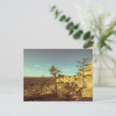 Neues Mexiko Postkarte (Stehend Vorderseite)