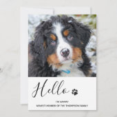 Neues Party für Haustiere Welpendusche Einladung (Vorderseite)