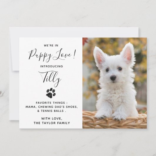 Neues Party für Haustiere Welpendusche Einladung (Vorderseite)