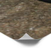 Neues Pferd Poster (Ecke)