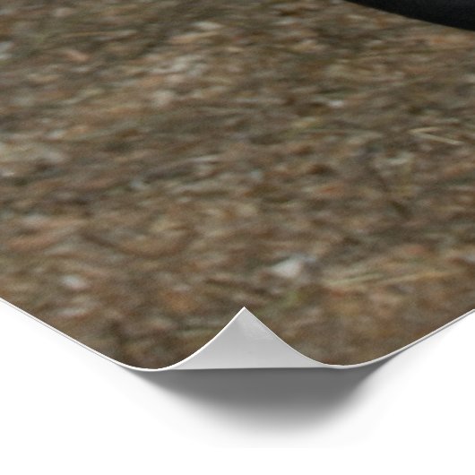 Neues Pferd Poster (Ecke)