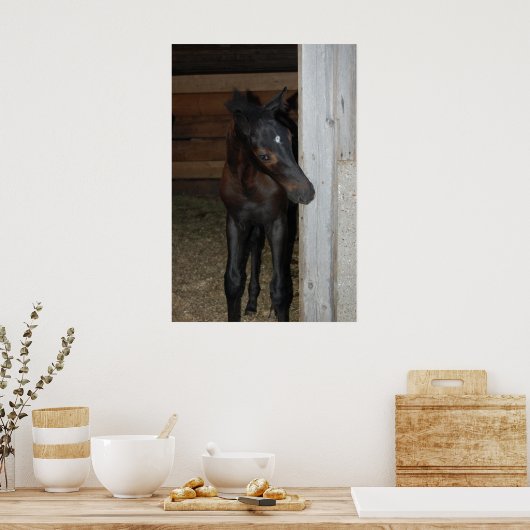 Neues Pferd Poster (Küche)