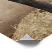 Neues Pferd Poster (Ecke)