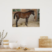 Neues Pferd Poster (Küche)