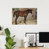 Neues Pferd Poster (Heimbüro)