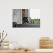Neues Pferd Poster (Küche)