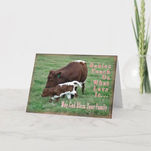 Neues Pinzgauer- Baby-fertigen es besonders an Karte