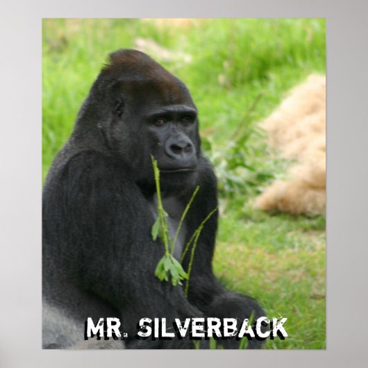 Neues Poster (Vorne)