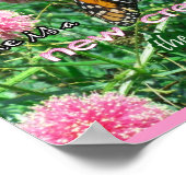 Neues Schöpfungspaket Poster (Ecke)