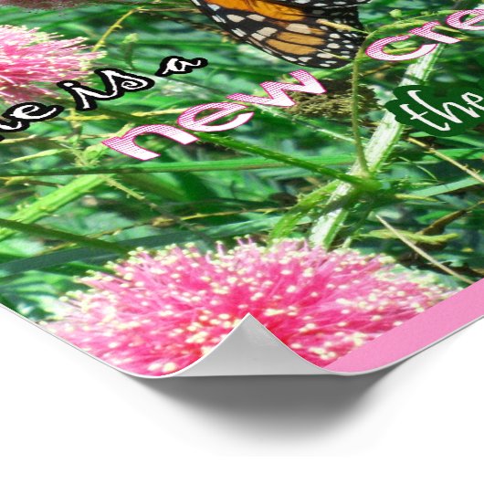 Neues Schöpfungspaket Poster (Ecke)