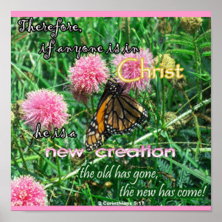 Neues Schöpfungspaket Poster