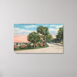 Neues Smyrna, Florida - Straßen-Ansicht des Leinwanddruck