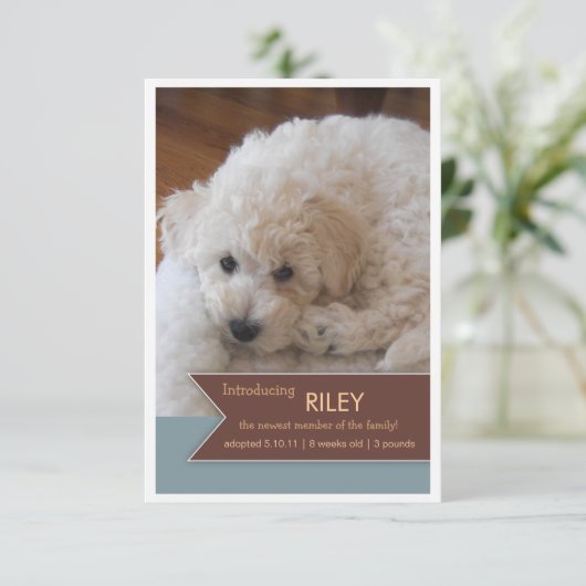 Neues Tier 2 Foto Brown Banner Foto Ankündigung (Stehend Vorderseite)