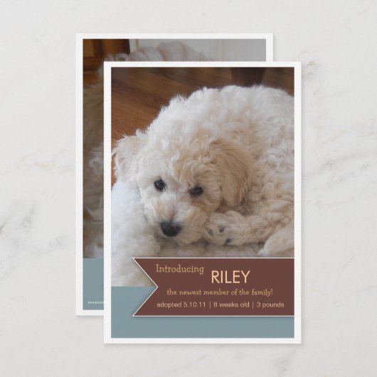 Neues Tier 2 Foto Brown Banner Foto Ankündigung (Vorne/Hinten)