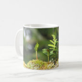 Neues Wachstum Fern Moss Nature Enthusiast Grüne P Kaffeetasse (Vorderseite Links)
