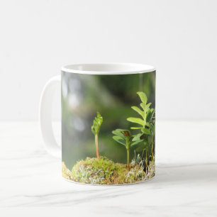 Neues Wachstum Fern Moss Nature Enthusiast Grüne P Kaffeetasse
