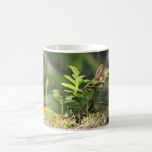 Neues Wachstum Fern Moss Nature Enthusiast Grüne P Kaffeetasse (Mittel)