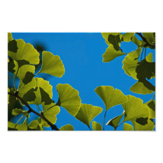 Neues Wachstum. Fotodruck