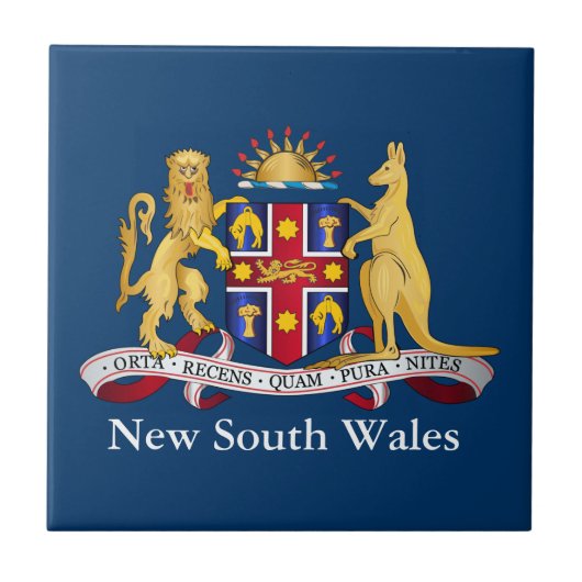 Neues Wales-Wales-Wappen Fliese (Vorderseite)