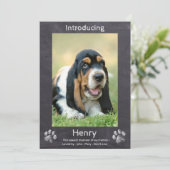 Neues Welpe - Welpe-Hund-Halbpension-Welpe Ankündigung (Stehend Vorderseite)