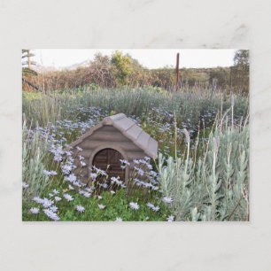 Neues Zuhause Ankündigungspostkarte