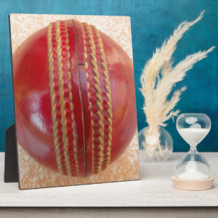 Neueste Cricket Red Ball Fotoplatte