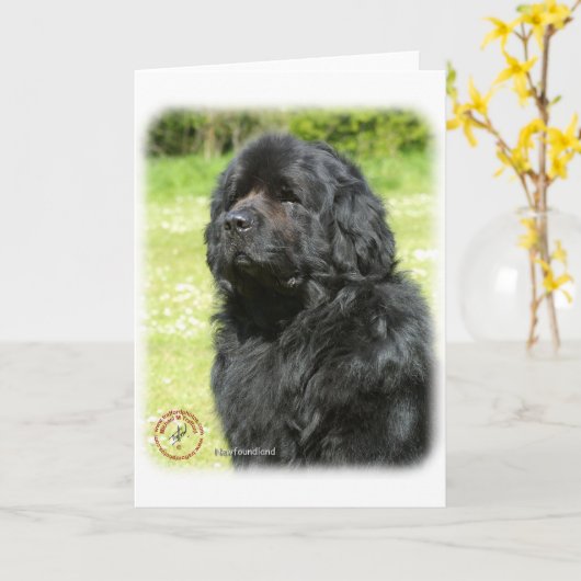 Neufundland 9T086D-067_2 Karte (Gelbe Blume)