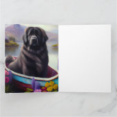 Neufundland auf einem Paddel: Ein Landschaftliches Karte (Innenseite)